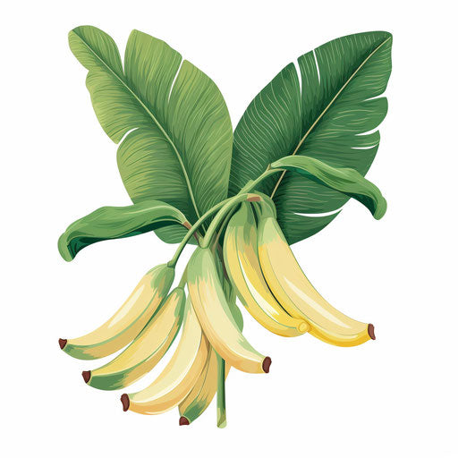 Pastel-colored banana tree illustration on white background