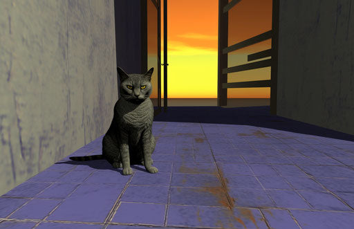 Cat sitting in front of a door, dark silver and light orange princecore