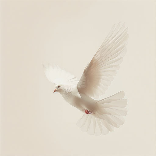 Freedom symbol, soft tones and elegant simplicity
