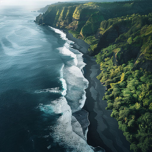 Black sand beach with dramatic shoreline and lush greenery