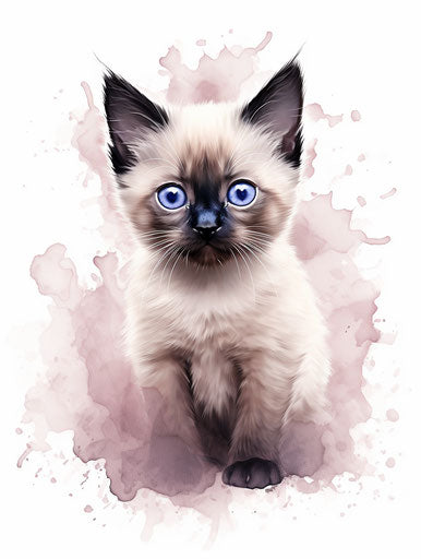 Siamese kitten on white background, in the style of light maroon and light beige