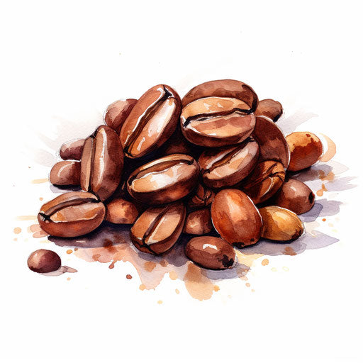 Coffee beans illustration in the style of Impressionistic Art, on white background