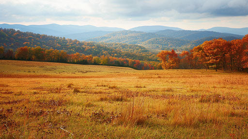 View of rural Appalachian mountains in early autumn, grassy patch of land in foreground, taken with DSLR 16:9
