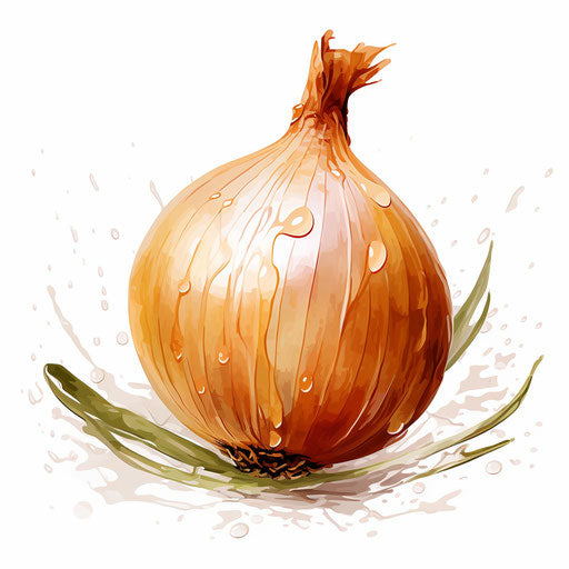Onion illustration in the style of Impressionistic Art
