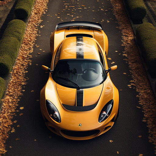 Classic top view of lotus elise