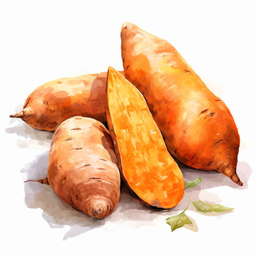 Artistic depiction of a yam as oil painting, on white background