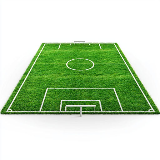 3D football field on flat white background