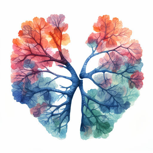 Lungs clipart in the style of Oil painting on white background