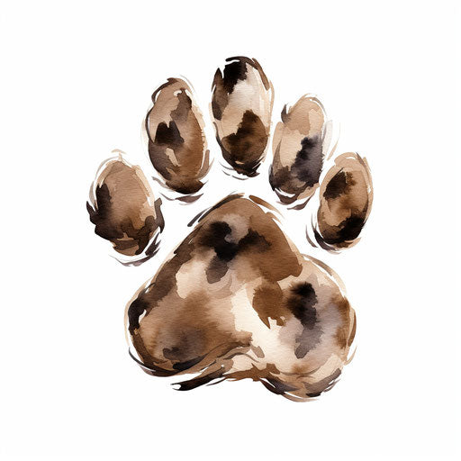 Dog paw print in Oil painting style on white background