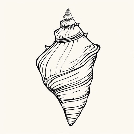 Minimalist sketch of a shell in elegant black, flat clipart style
