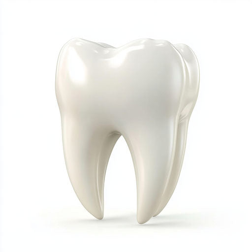 3D tooth on flat white background, isolated clipart