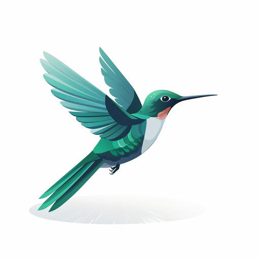 Hummingbird drawing in the minimalist style, on white background