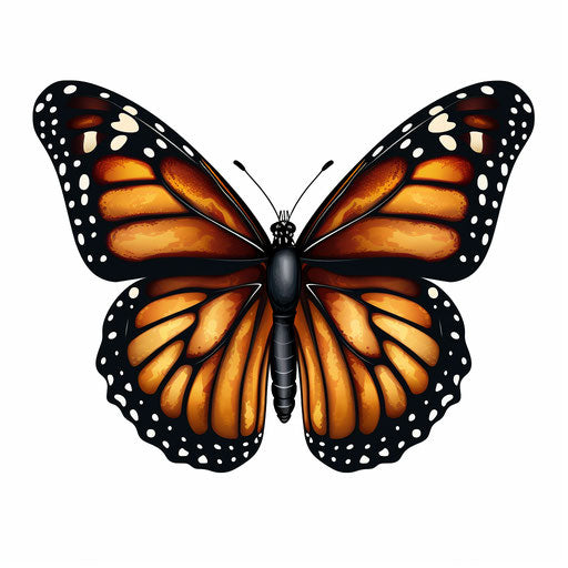 Monarch butterfly in clipart in the style of Chiaroscuro Art, on white background