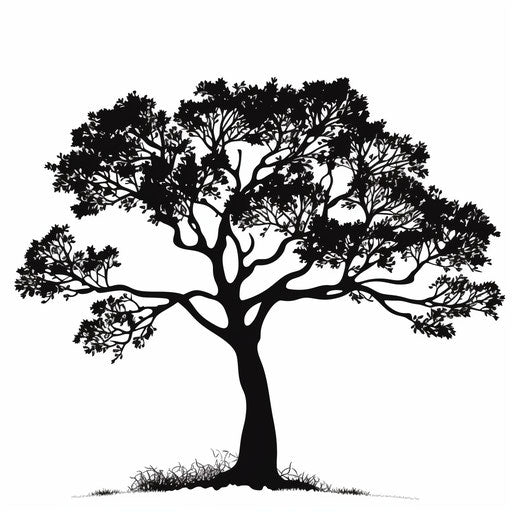 Tree PNG clipart in Minimalist style, on white background