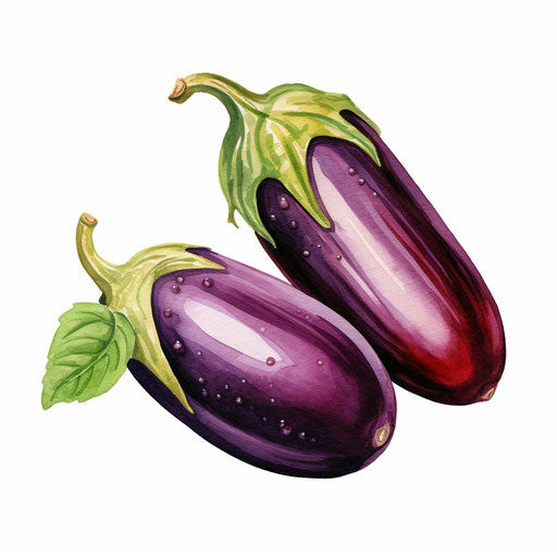 Eggplant clipart in the style of Oil painting, on a white background