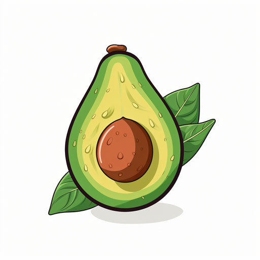 Avocado clipart in Minimalist style on white background
