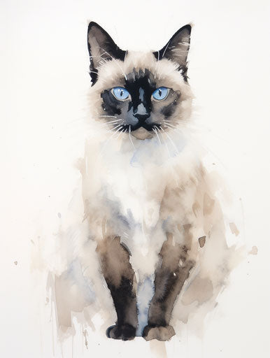 Siamese cat on white background, dark white and light magenta style