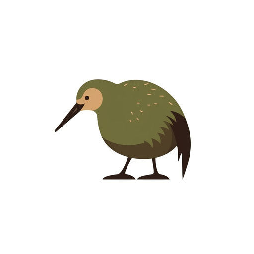 Minimalist kiwi clipart on white background