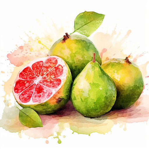 Guava clipart in the style of Impressionistic Art, on a white background