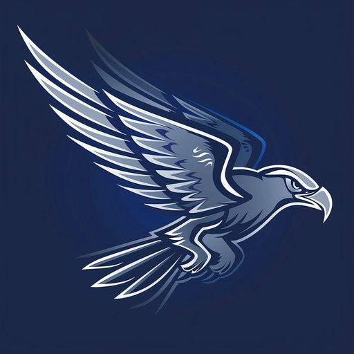 Bold sports falcon logo in blue and silver, on navy background
