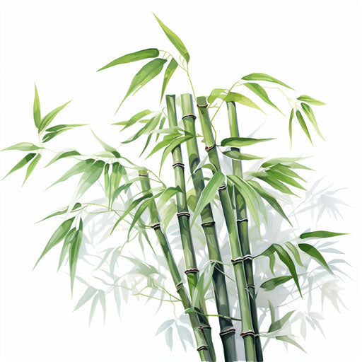 Bamboo clipart in the style of Oil painting, on a white background