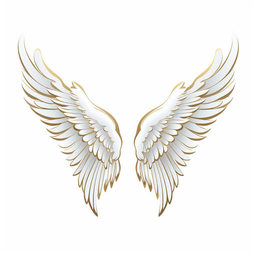 Minimalist angel wings on white background