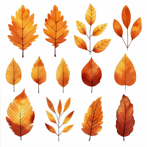 Autumn leaves in Minimalist style, on white background