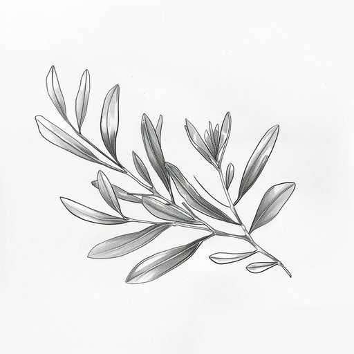 Delicate drawing of an olive branch, symbol of peace