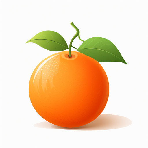 Minimalist style orange clipart on white background