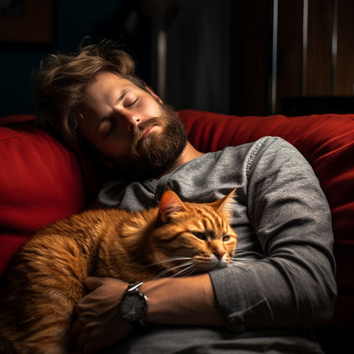 Orange cat sleeping on a couch with its owner
