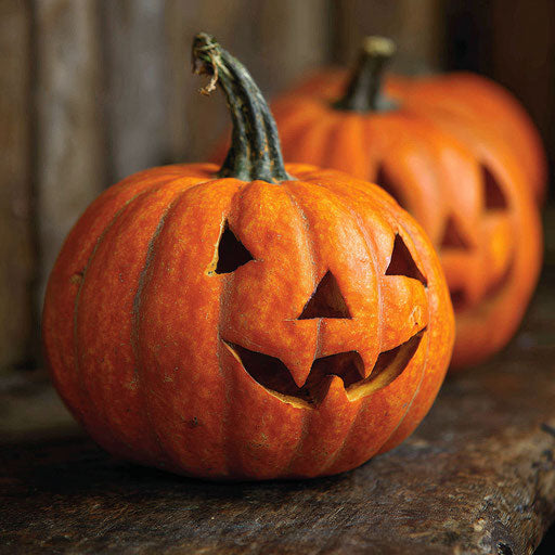 Central tall oval pumpkin with a wide smiling face