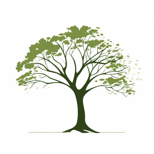 Tree in PNG clipart style Minimalist, on white background
