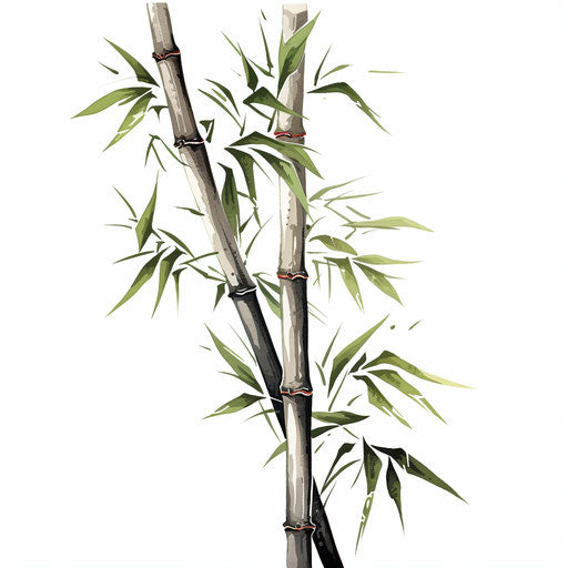 Bamboo clipart in the style of Chiaroscuro Art, on white background