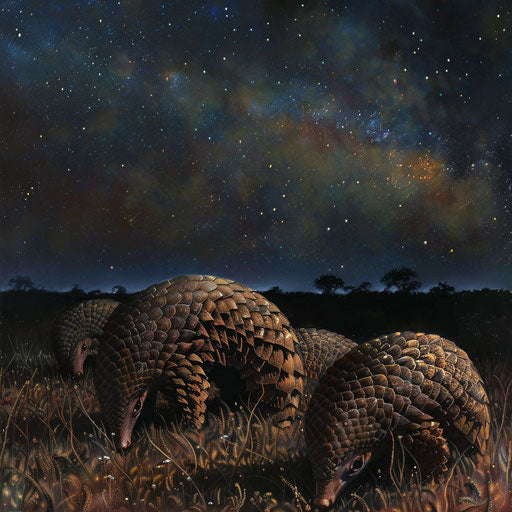 Pangolins under stars in open meadow