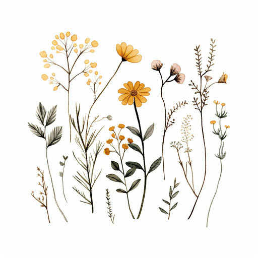 Wildflower clipart in Minimalist style on white background
