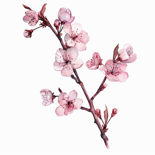 Watercolor-inspired clipart style flat tattoo sketch of a cherry blossom branch