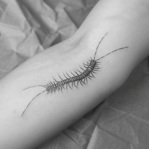 Minimalist centipede tattoo in black ink on white background