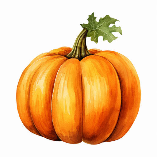 Adorable pumpkin clipart in the style of oil painting, on a white background
