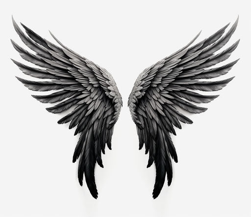 Engraved black wings in high angle on white background