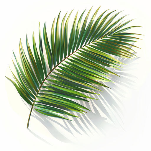 Realistic Palm Sunday clipart on flat white background