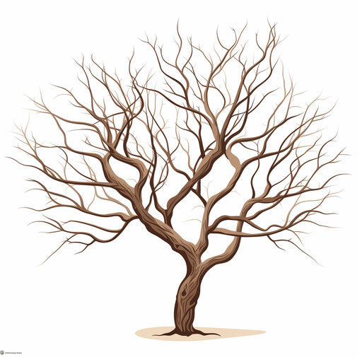 Minimalist style clipart of a bare tree on a white background