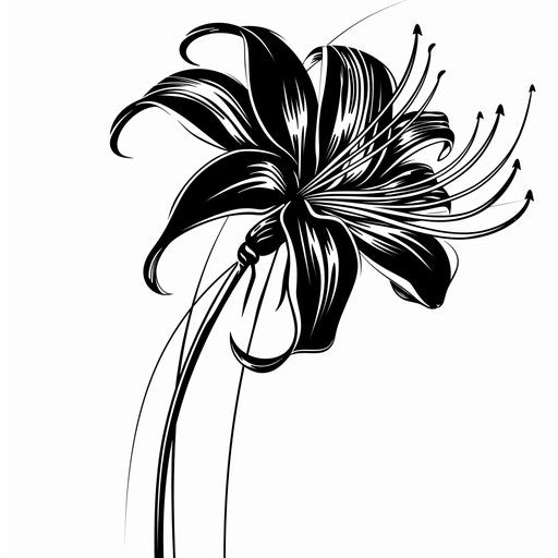 Stylized spider lily tattoo design, black and white