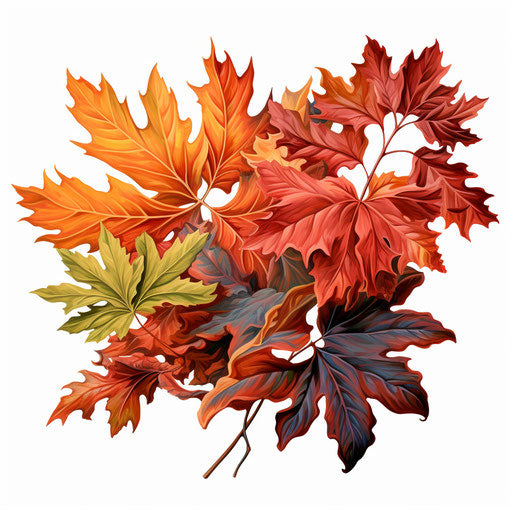 Leaf border clipart in the style of Oil painting, on a white background