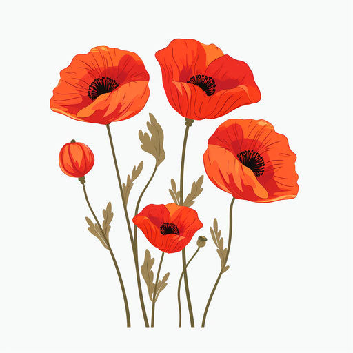 Minimalist poppy illustration on white background