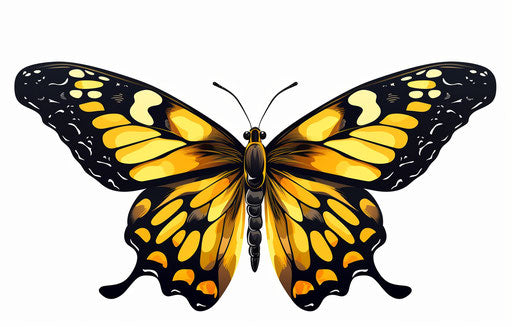 Yellow and black butterfly flying on white background
