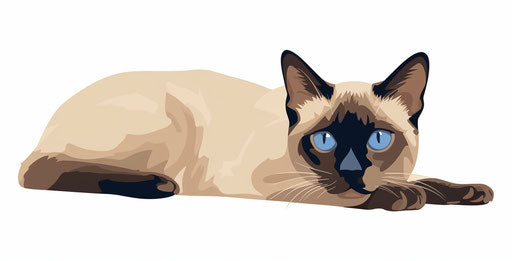 Siamese cat on white background, dark beige and blue style