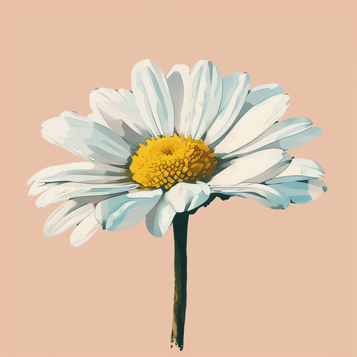 Daisy clipart with flat random background and vintage filter