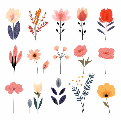 Minimalist style flower illustrations on white background