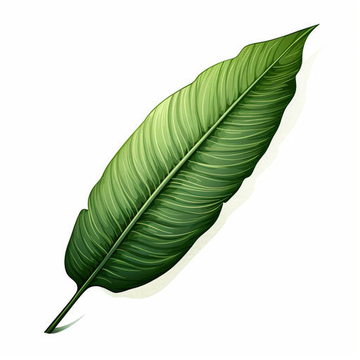 Palm leaf in Chiaroscuro Art style on white background