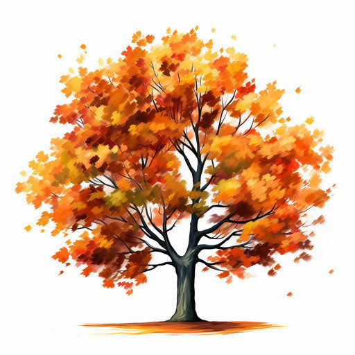 Autumn tree clipart in the style of oil painting, on a white background